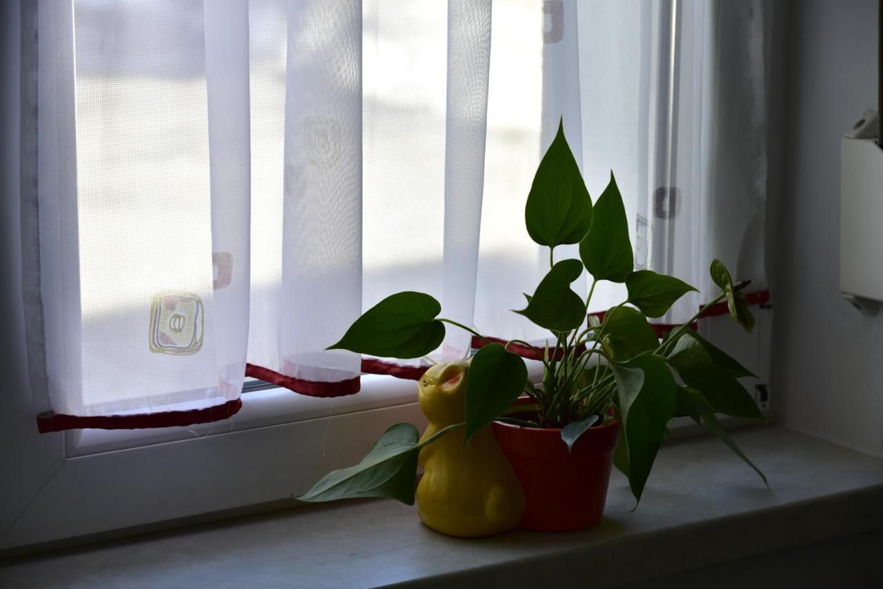 Primula Apartment Blejska Dobrava Ngoại thất bức ảnh